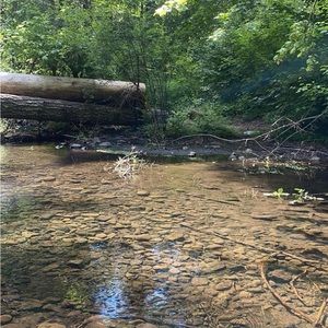 Meet your Posher, Tory